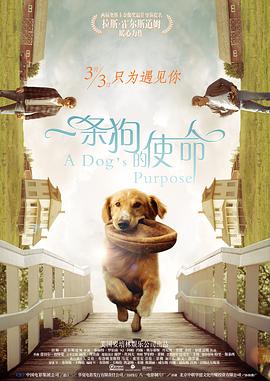 免费a大片
